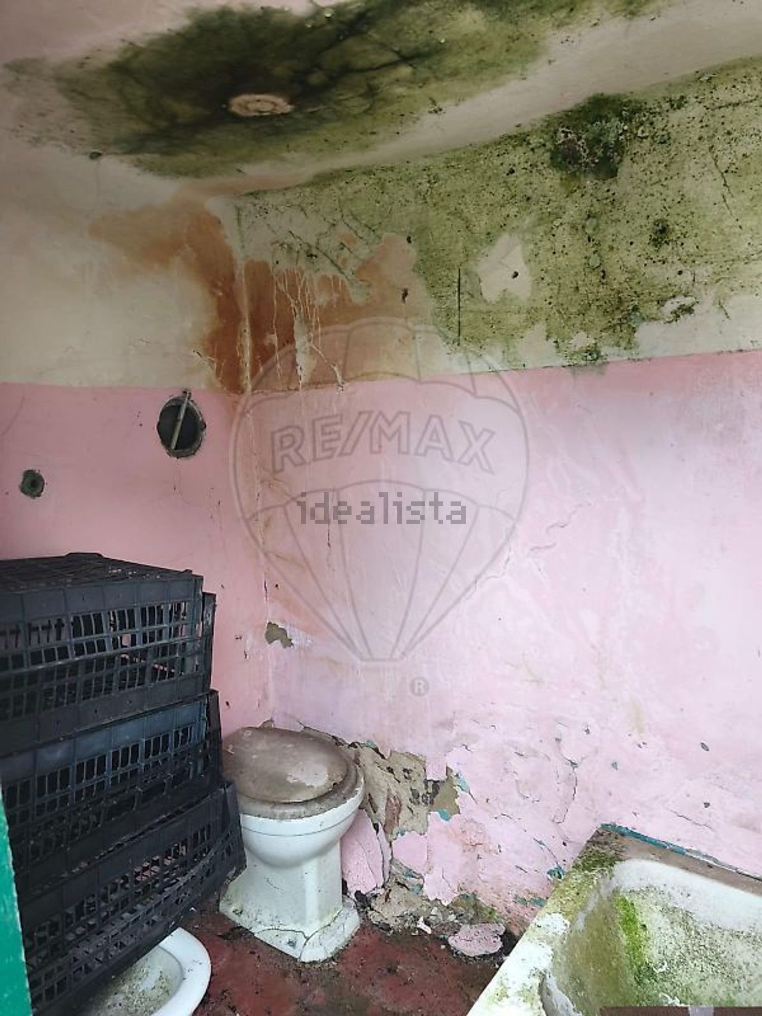 小楼房或独栋别墅出售在Aljubarrota - 照片