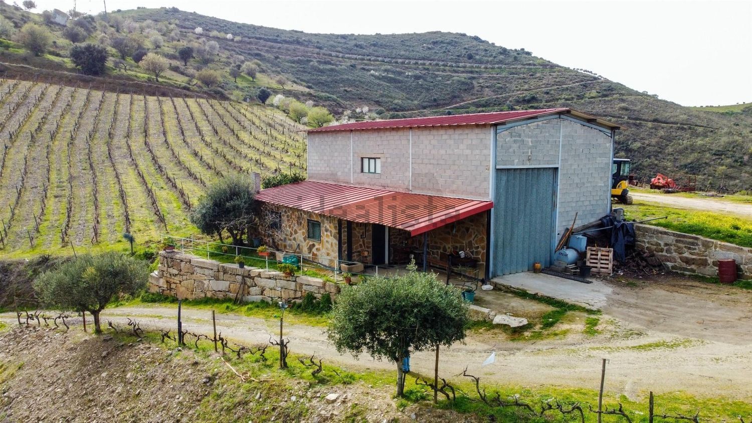 庄园出售在Vila Nova de Foz Côa - 外立面