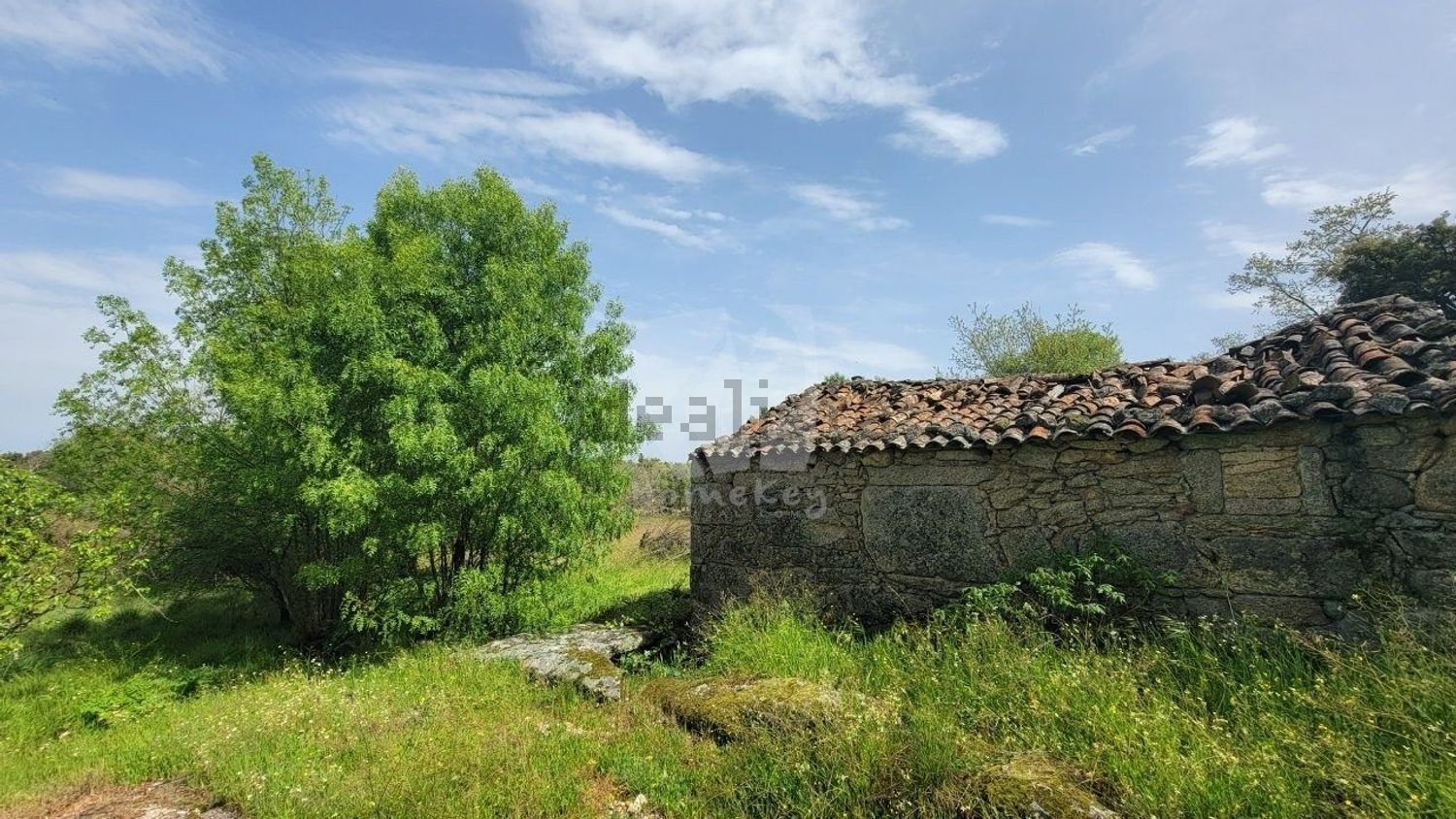 庄园出售在Aldeia do Bispo - Águas - Aldeia de João Pires - 花园