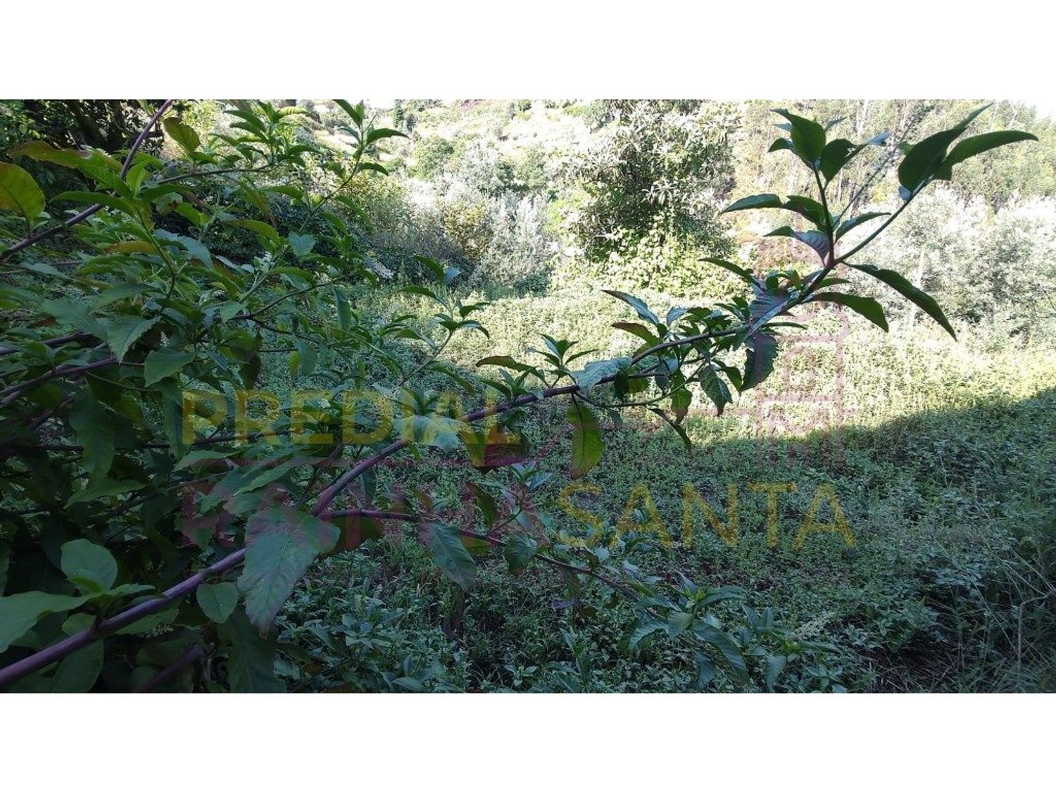 小楼房或独栋别墅出售在Arrifana - 花园