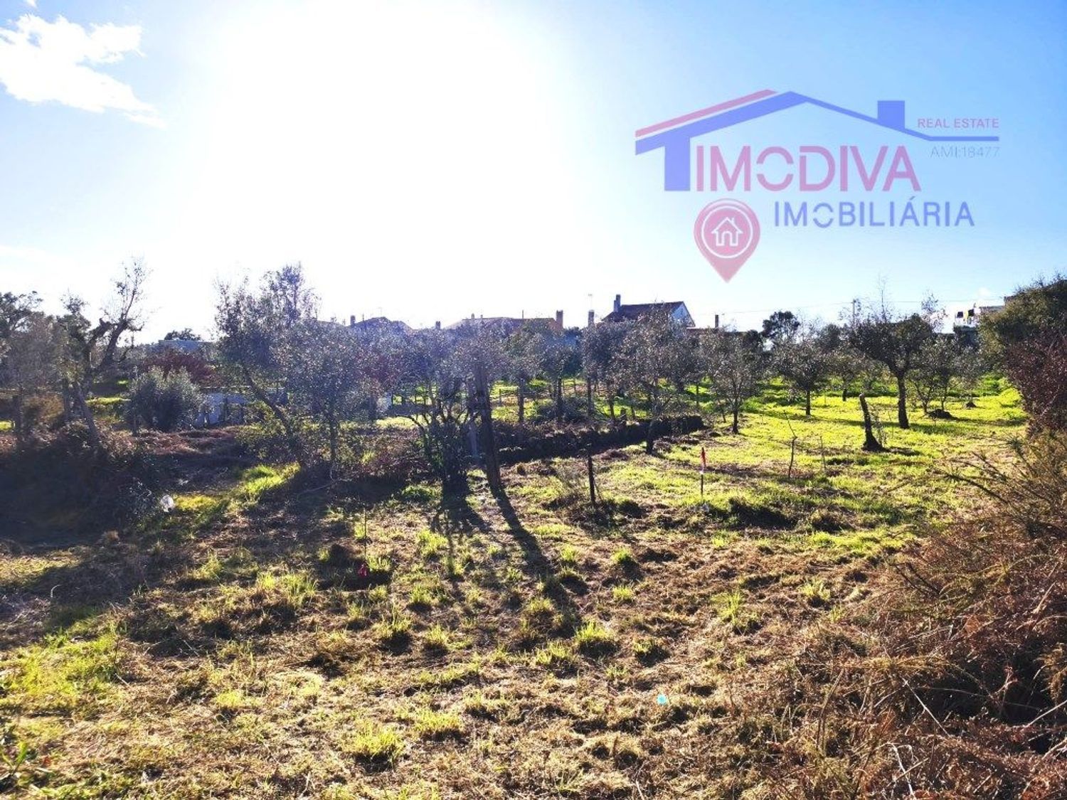 小楼房或独栋别墅出售在Figueiró dos Vinhos e Bairradas - 花园