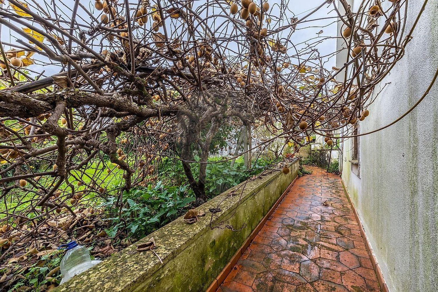 小楼房或独栋别墅出售在Rua João Dias - 花园