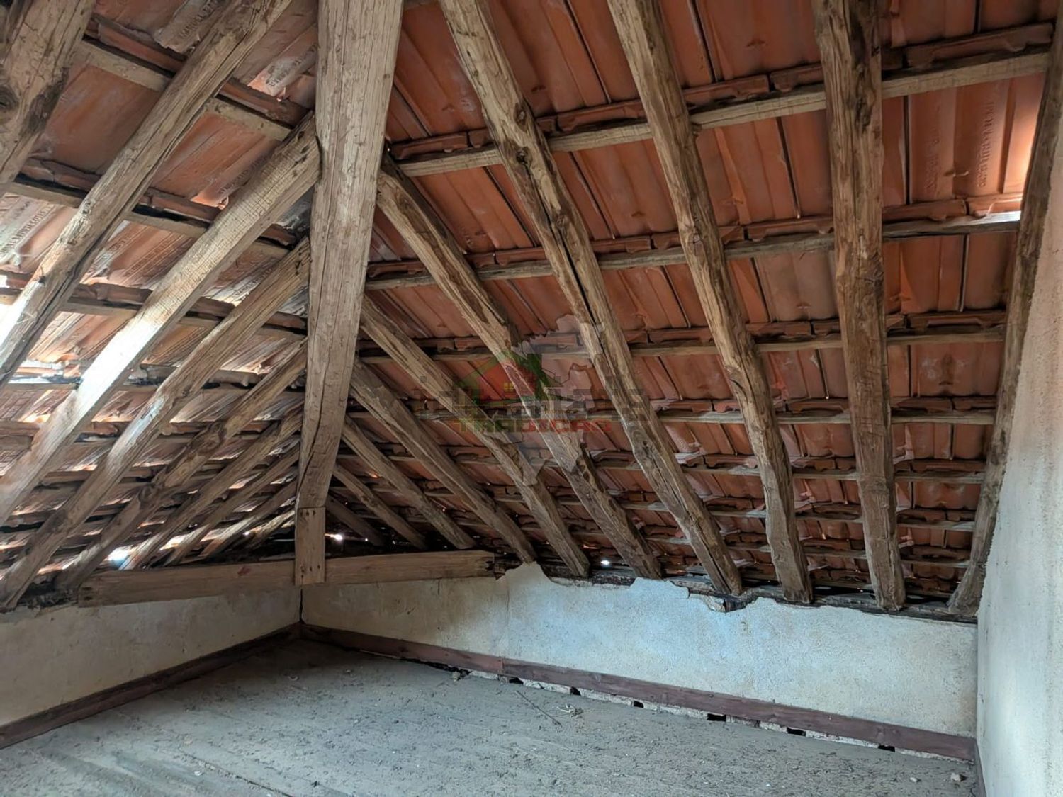 庄园出售在Cernache do Bonjardim - Nesperal - Palhais - 照片