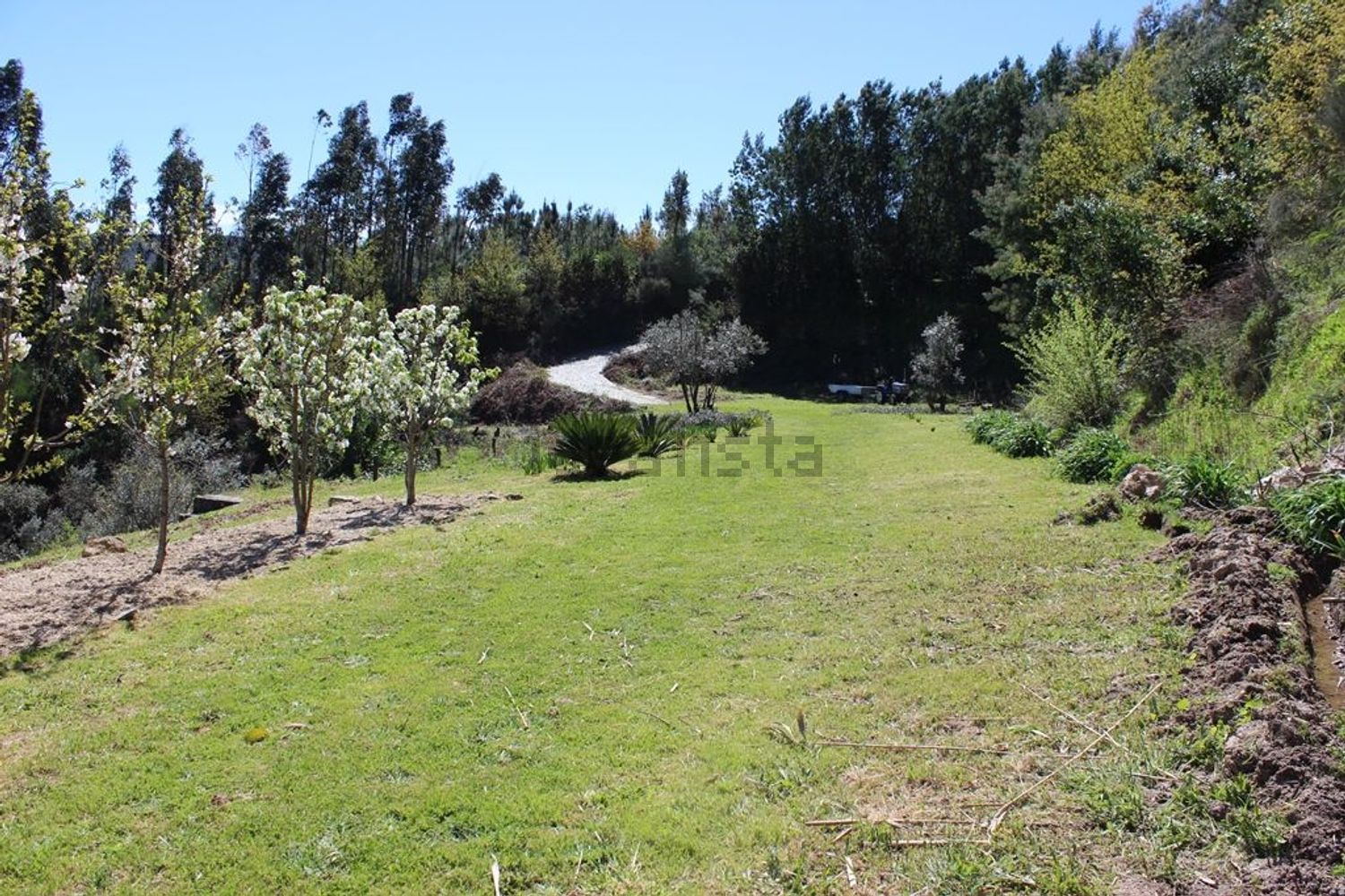 小楼房或独栋别墅出售Quinta do chão cimeiro - 花园