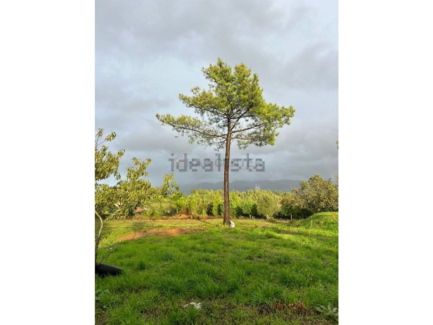 庄园出售在Évora de Alcobaça - 花园
