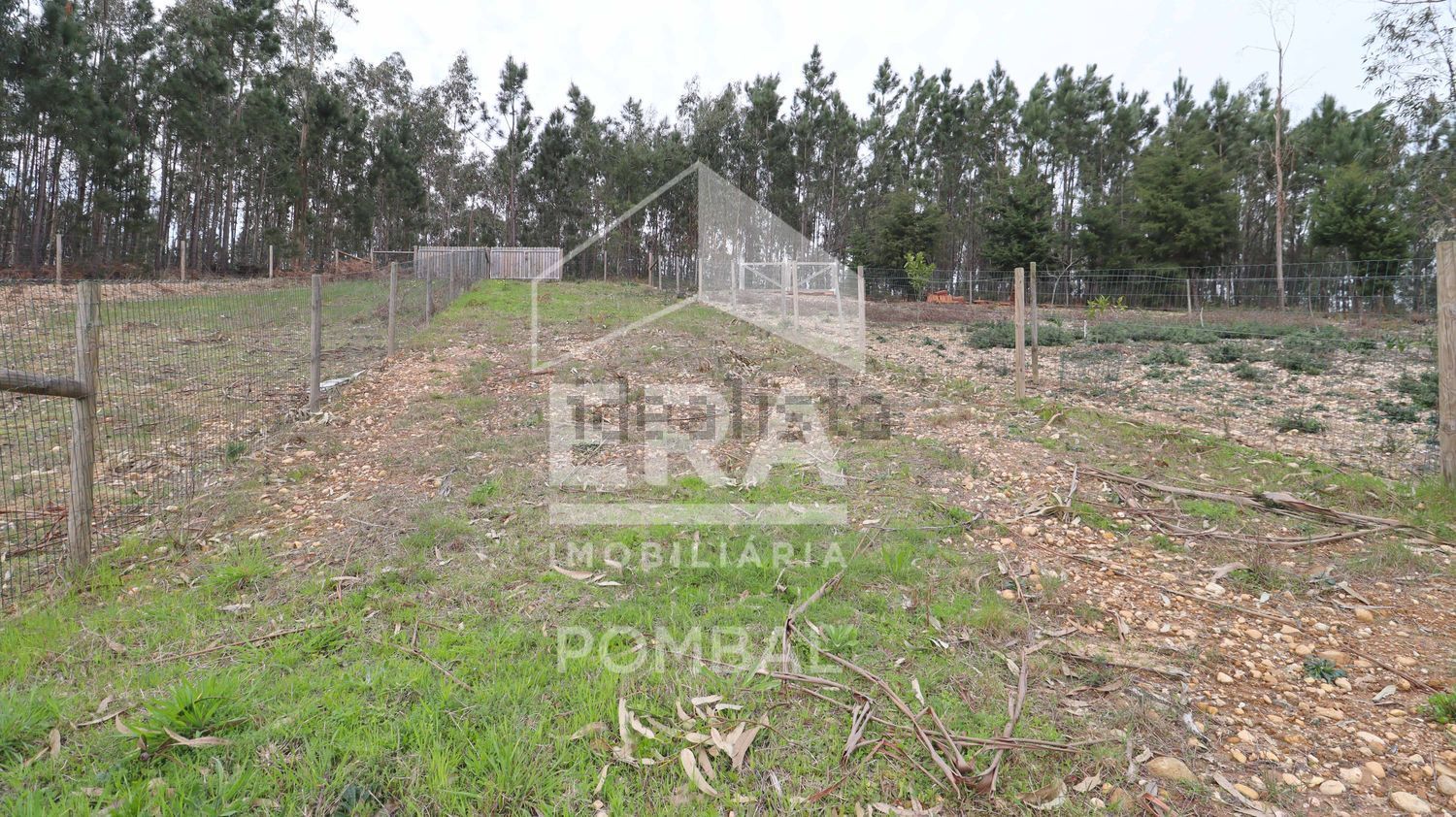 小楼房或独栋别墅出售Pombal - 花园