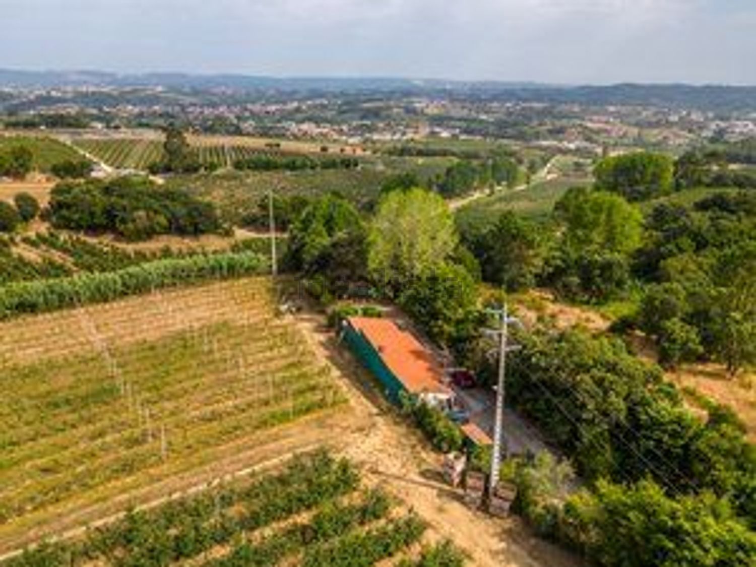 庄园出售Vinharias, 2460, Cela, Leiria, Portugal s/n - 照片