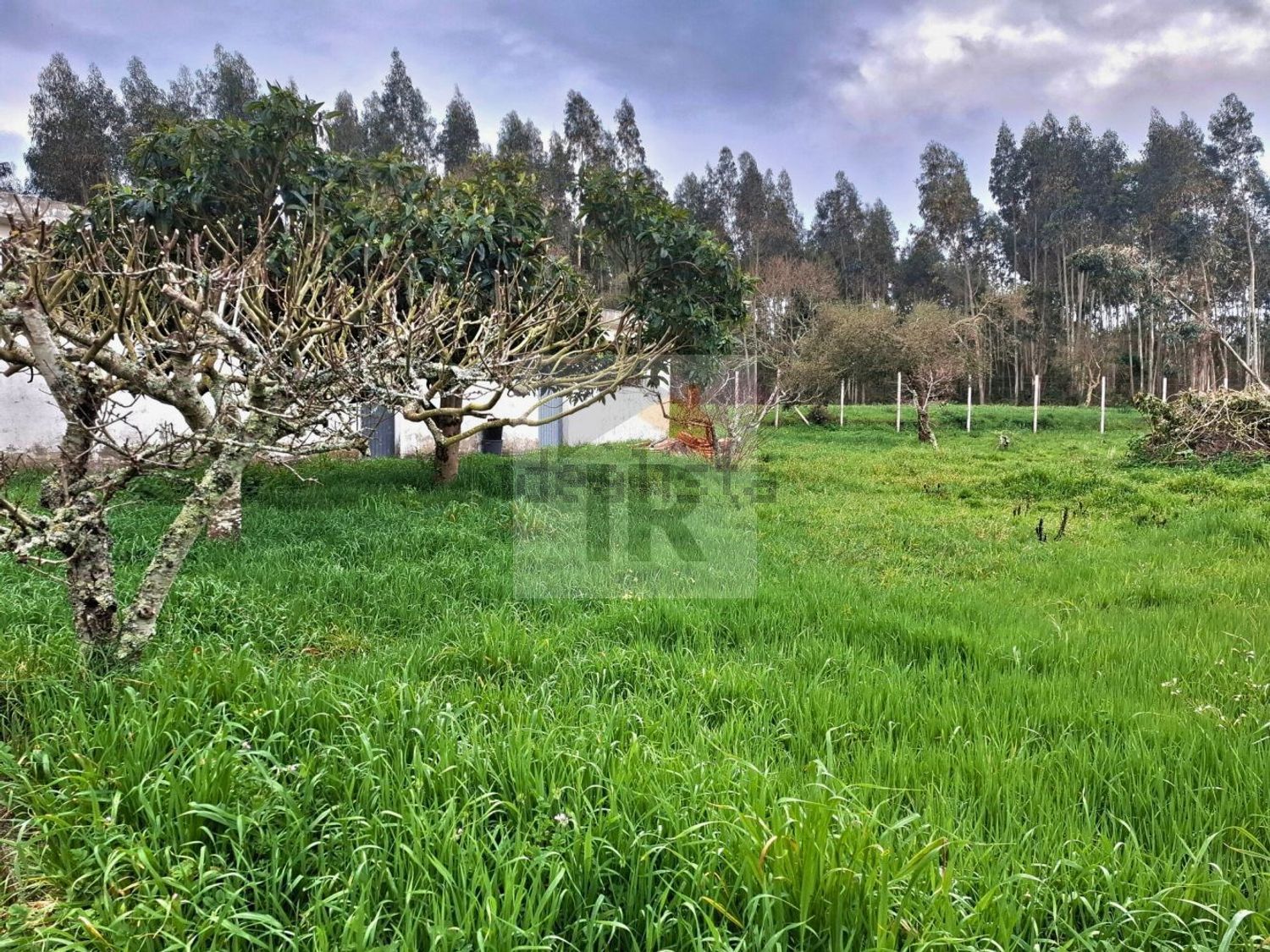 小楼房或独栋别墅出售在Salir de Matos - 花园