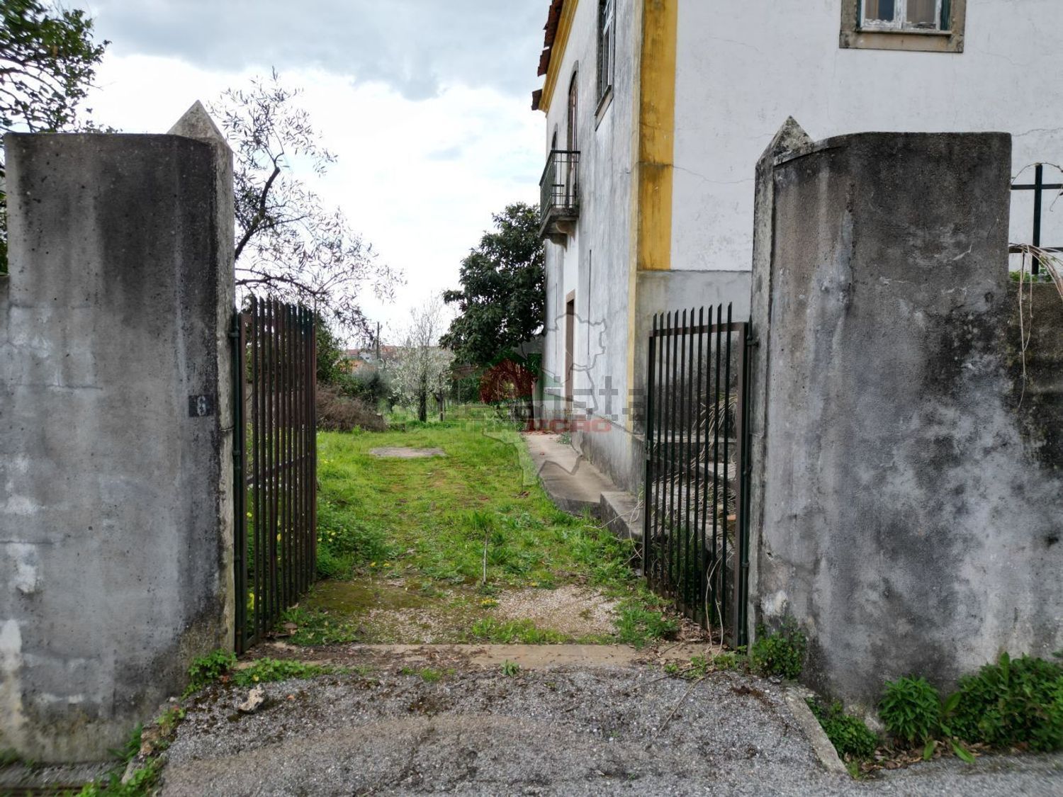庄园出售在Cernache do Bonjardim - Nesperal - Palhais - 照片