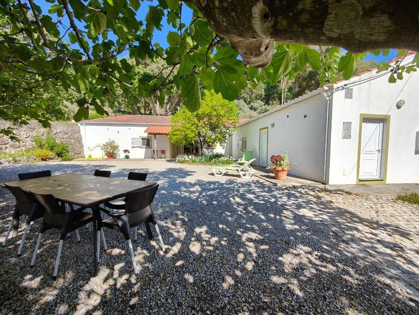 庄园出售Quinta da Barroquinha s/n