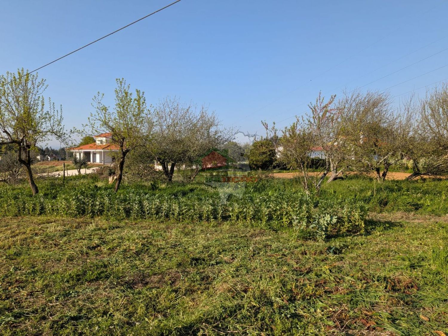 小楼房或独栋别墅出售在Cernache do Bonjardim - Nesperal - Palhais - 花园