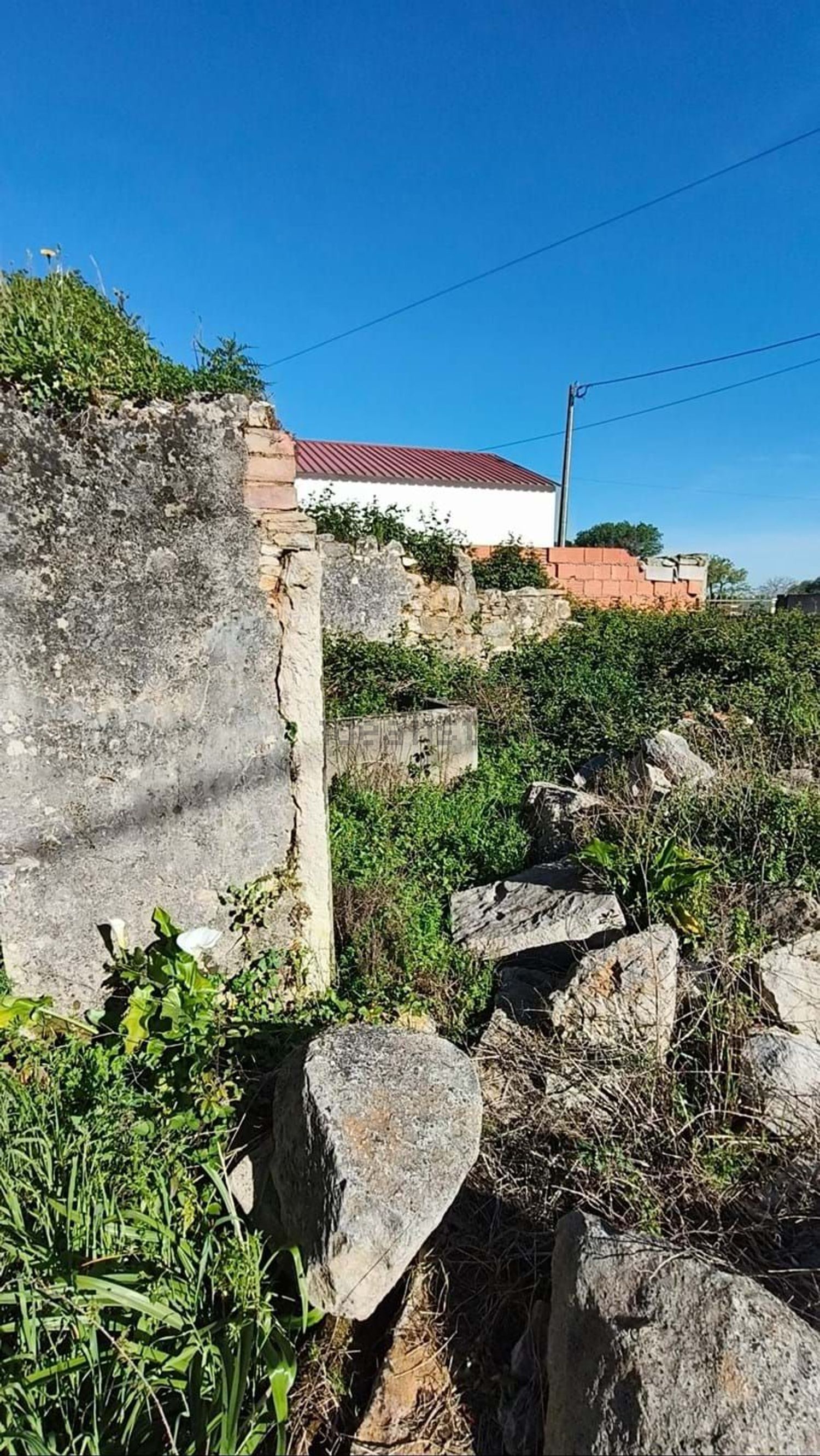 小楼房或独栋别墅出售在Beco do Coelho nr 1, Casais de santa teresa - 花园