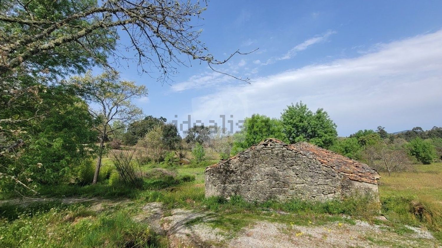 庄园出售在Aldeia do Bispo - Águas - Aldeia de João Pires - 花园