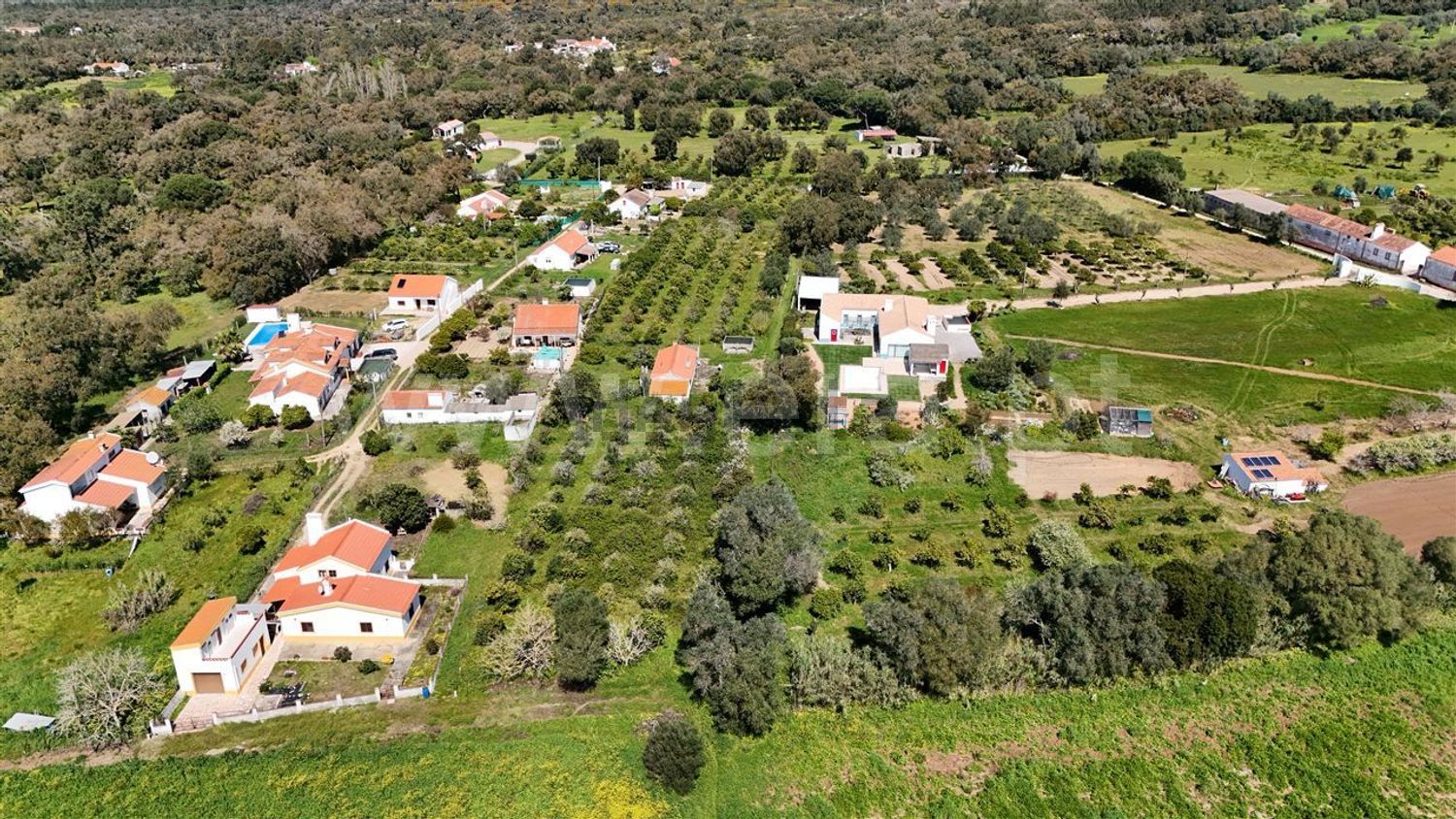 庄园出售在Santiago do Cacém - Santa Cruz - São Bartolomeu da Serra - 照片