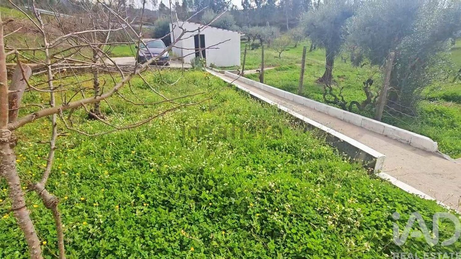 小楼房或独栋别墅出售在Sertã - 花园