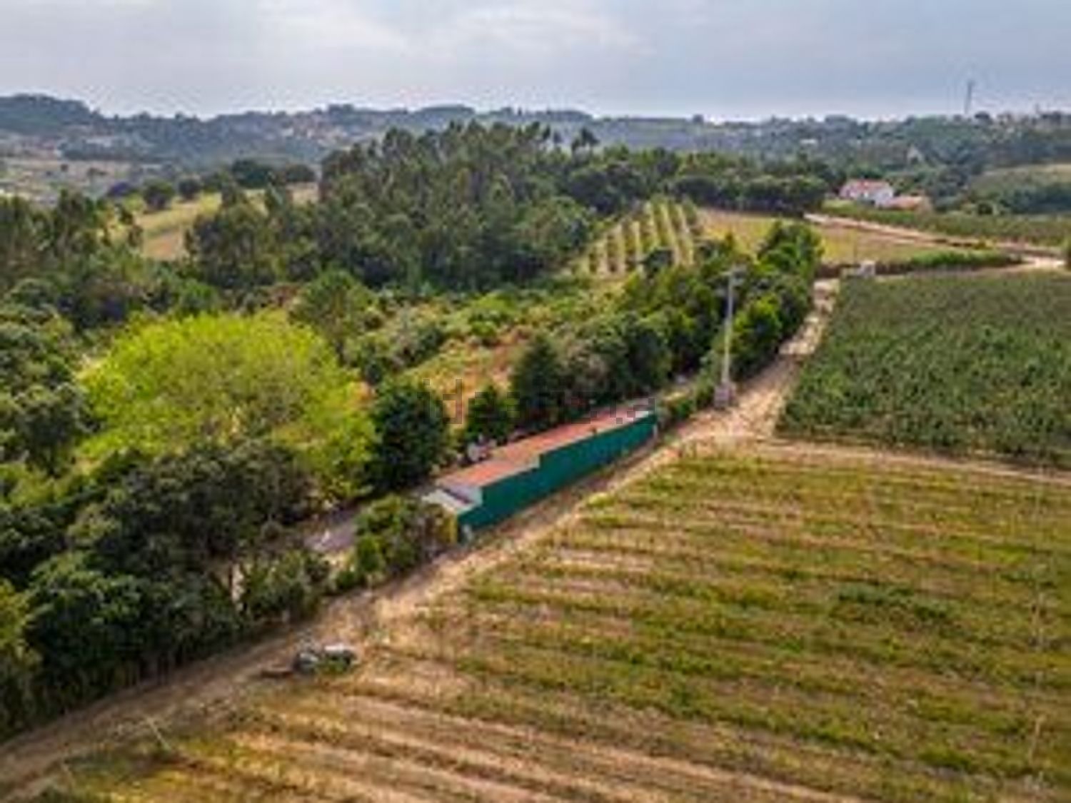 庄园出售Vinharias, 2460, Cela, Leiria, Portugal s/n - 花园