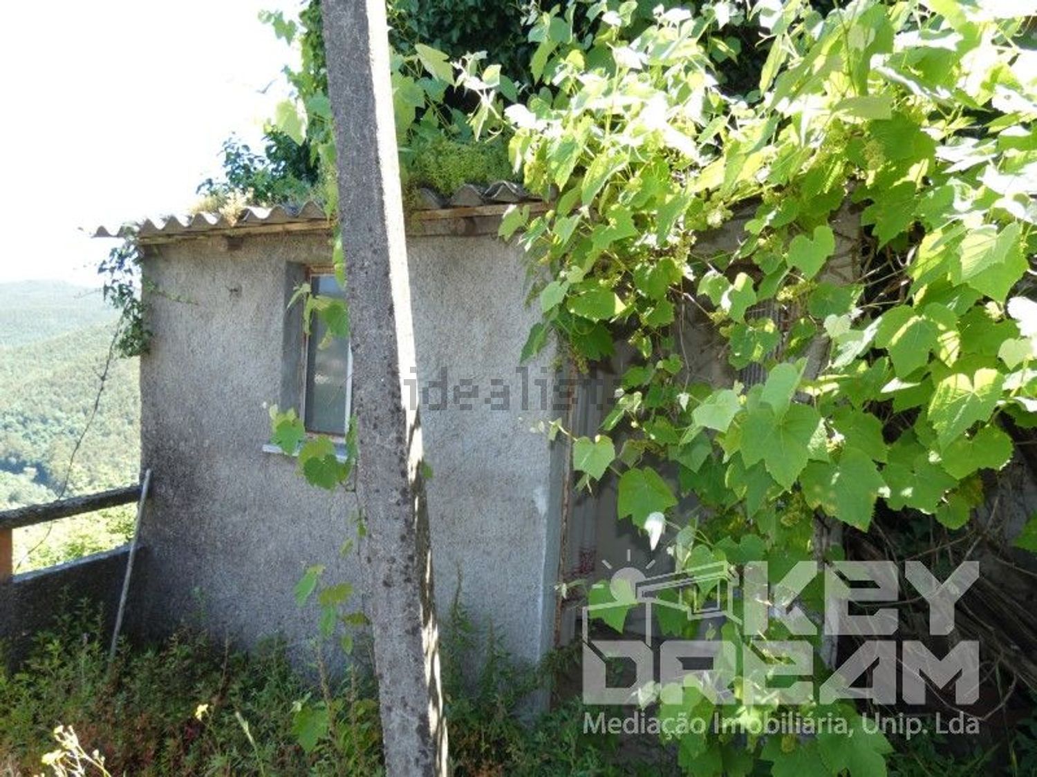 双拼别墅出售在Torres do Mondego - 花园