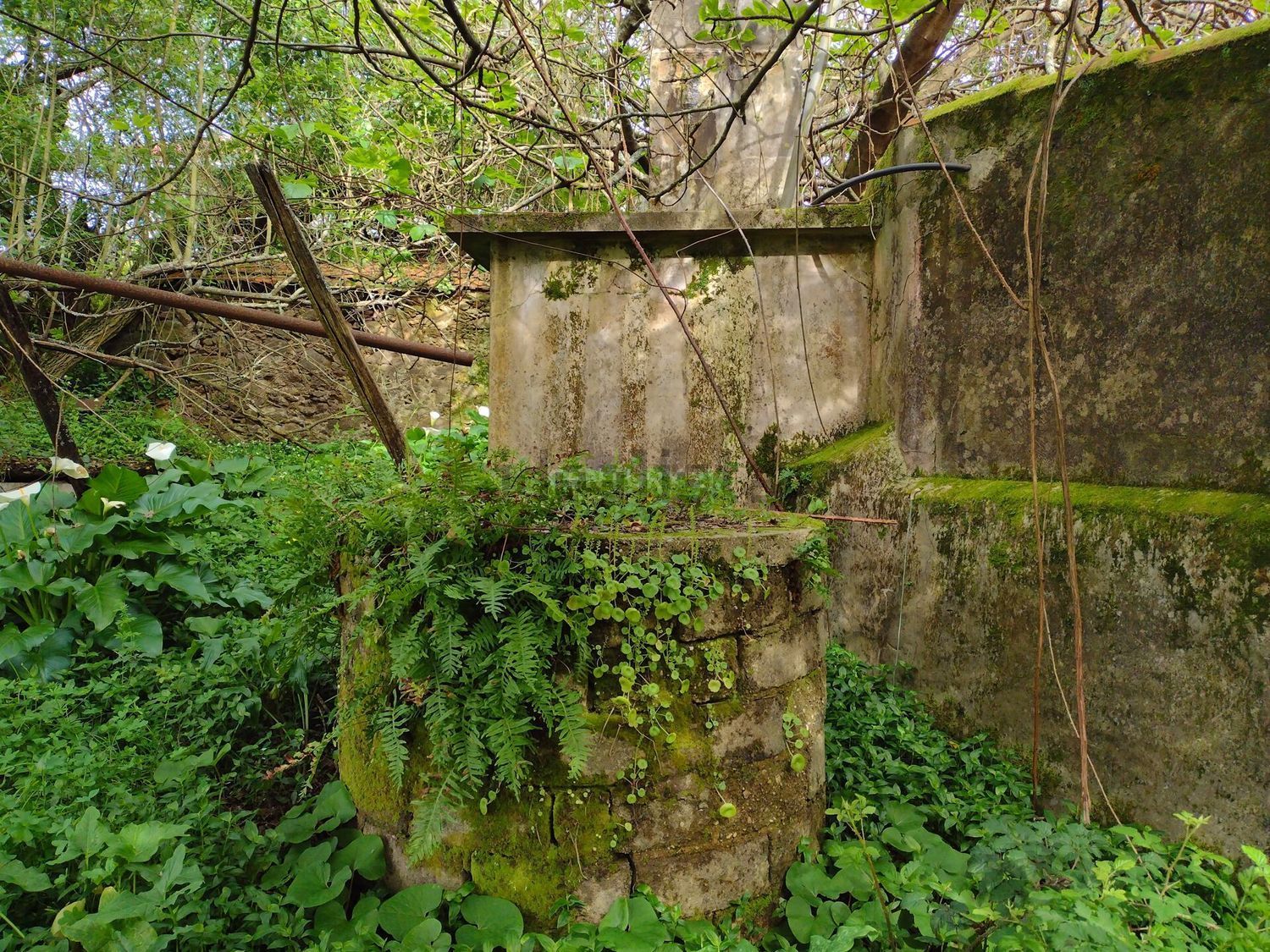小楼房或独栋别墅出售在Rua do Carvalhal, 20 - 花园