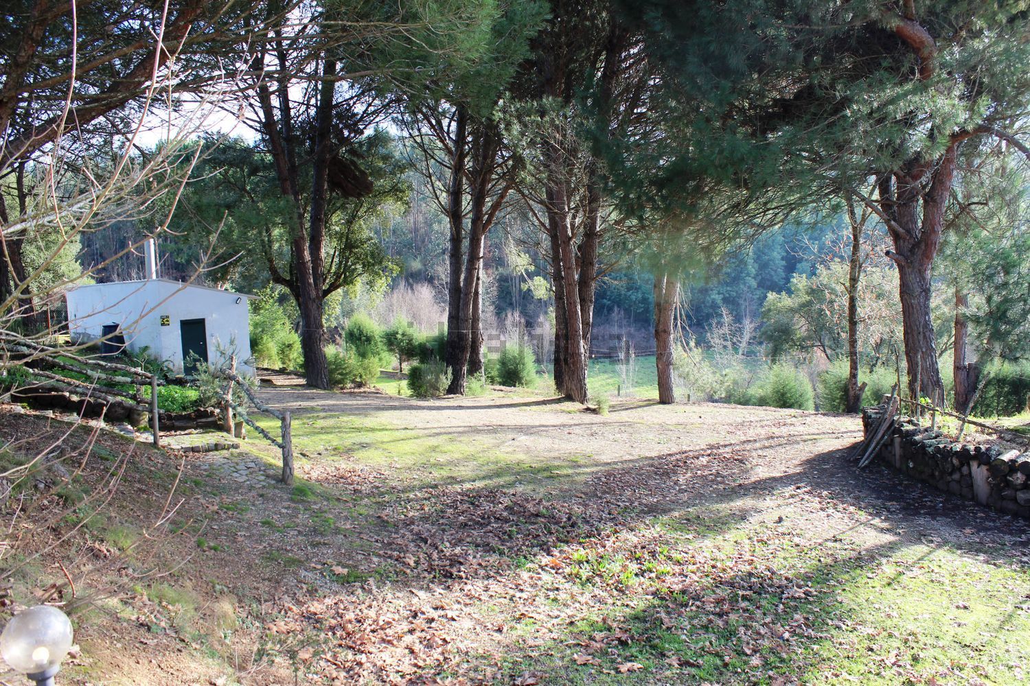 庄园出售Pedra da Sé - 花园