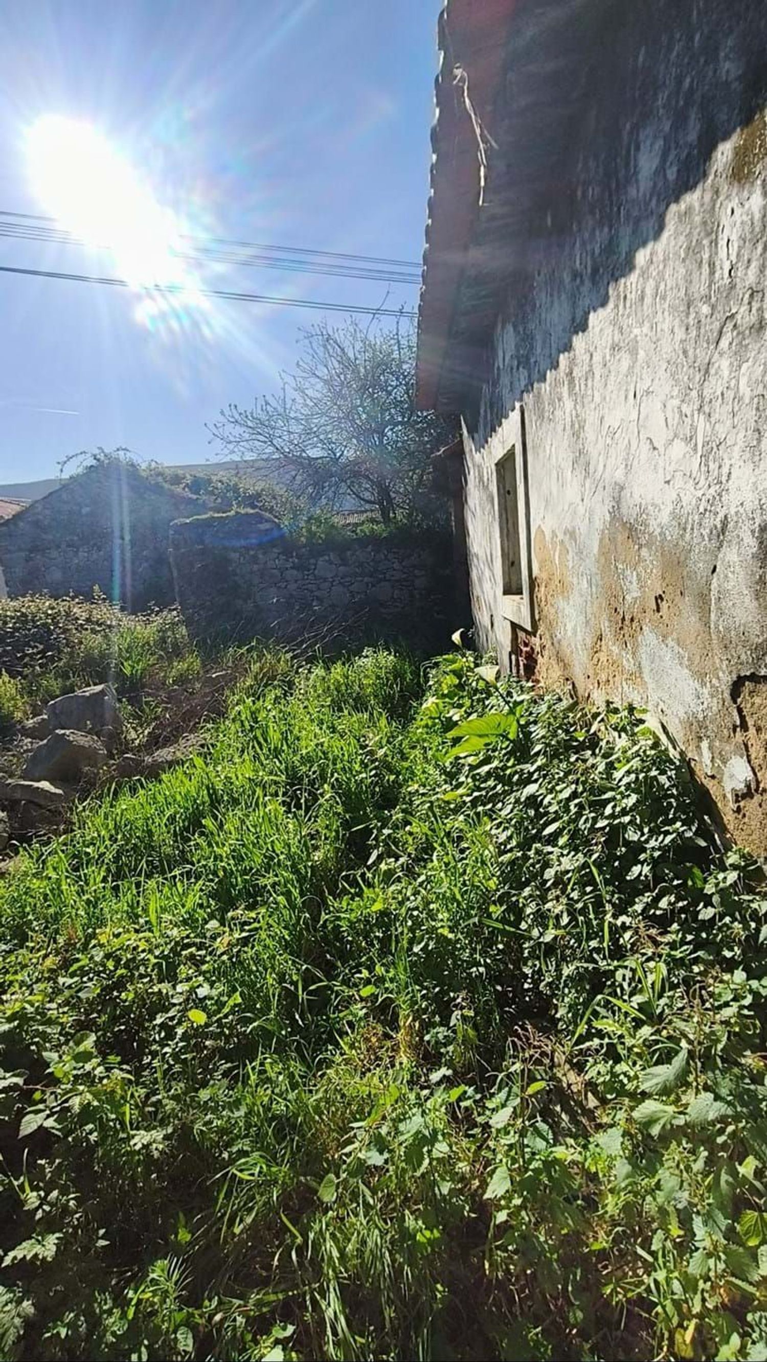 小楼房或独栋别墅出售在Beco do Coelho nr 1, Casais de santa teresa - 花园