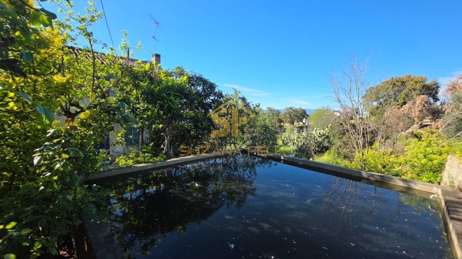 庄园出售在Castelo Branco - 游泳池