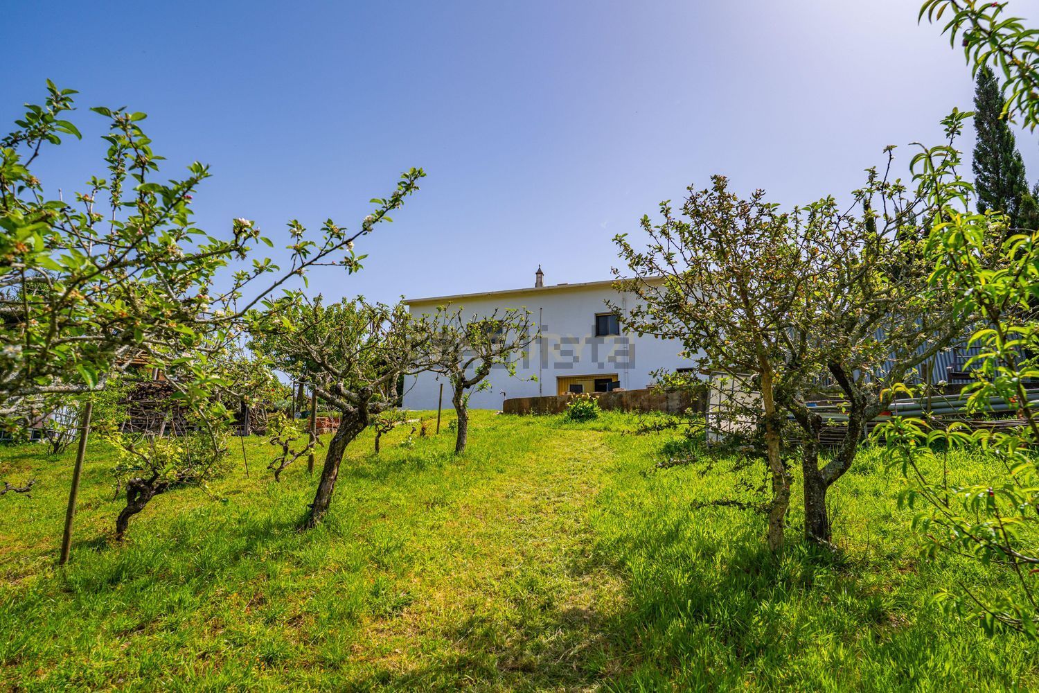 小楼房或独栋别墅出售在Rua Principal do Casal do Frade s/n - 外立面