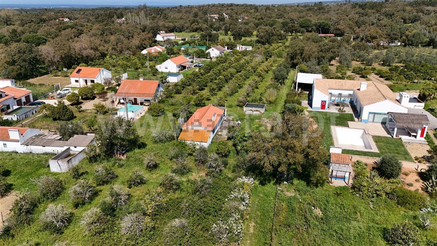 庄园出售在Santiago do Cacém - Santa Cruz - São Bartolomeu da Serra - 视线