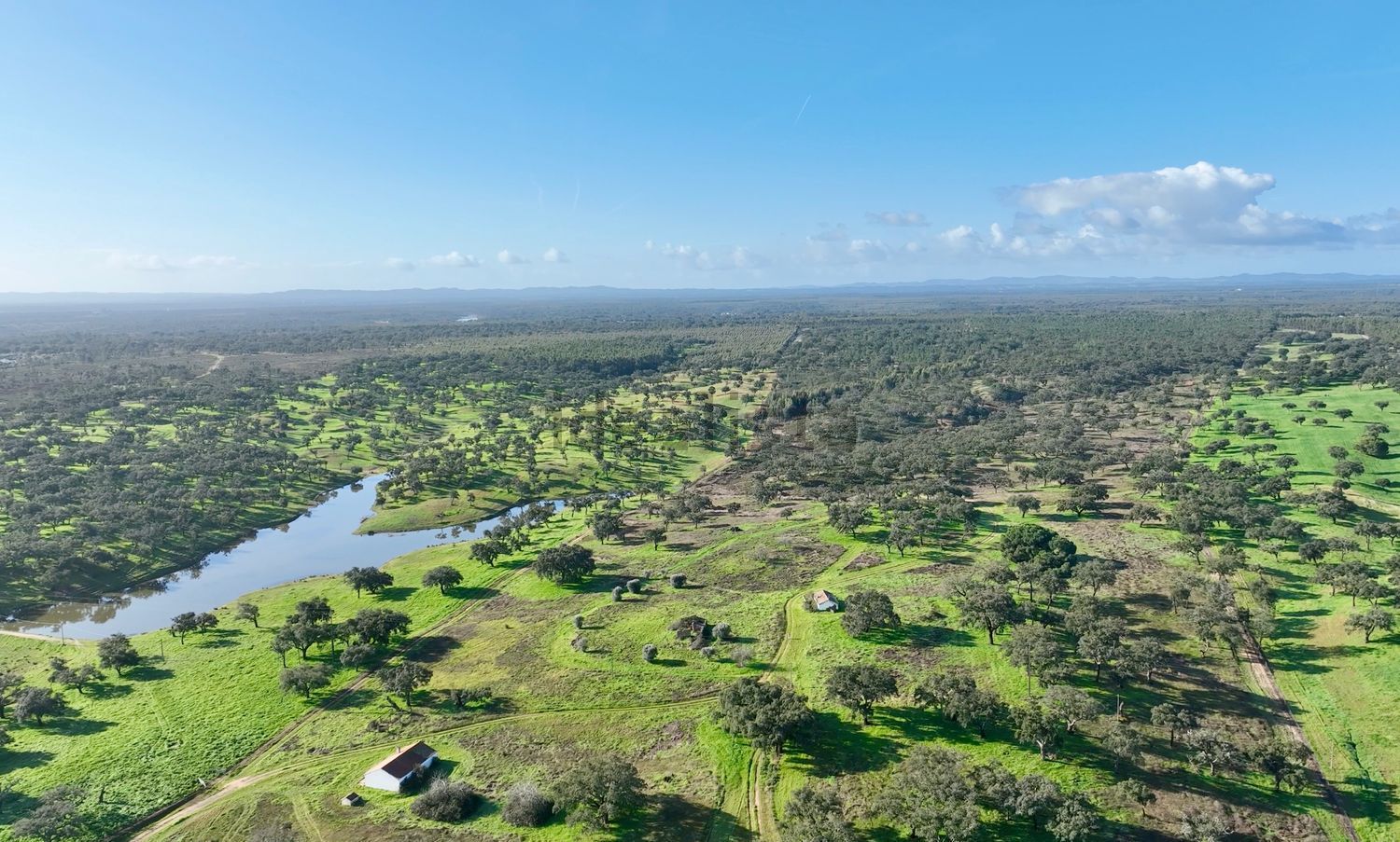 农庄出售Vale do Zebro s/n - 视线