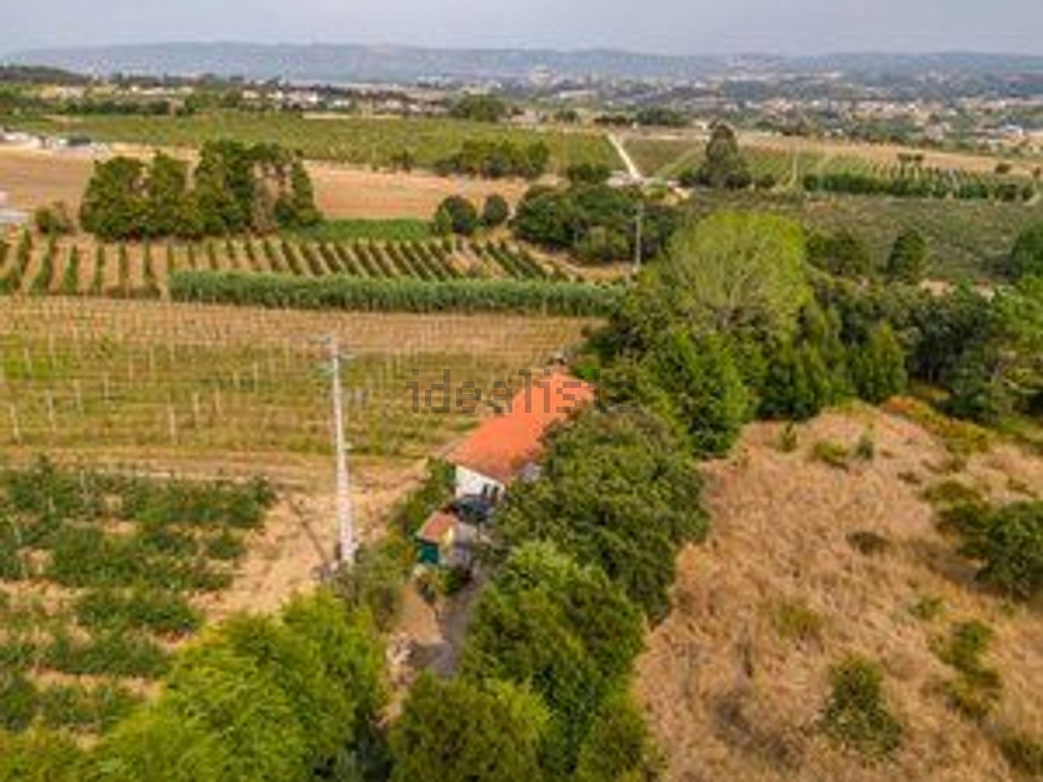 庄园出售Vinharias, 2460, Cela, Leiria, Portugal s/n - 照片