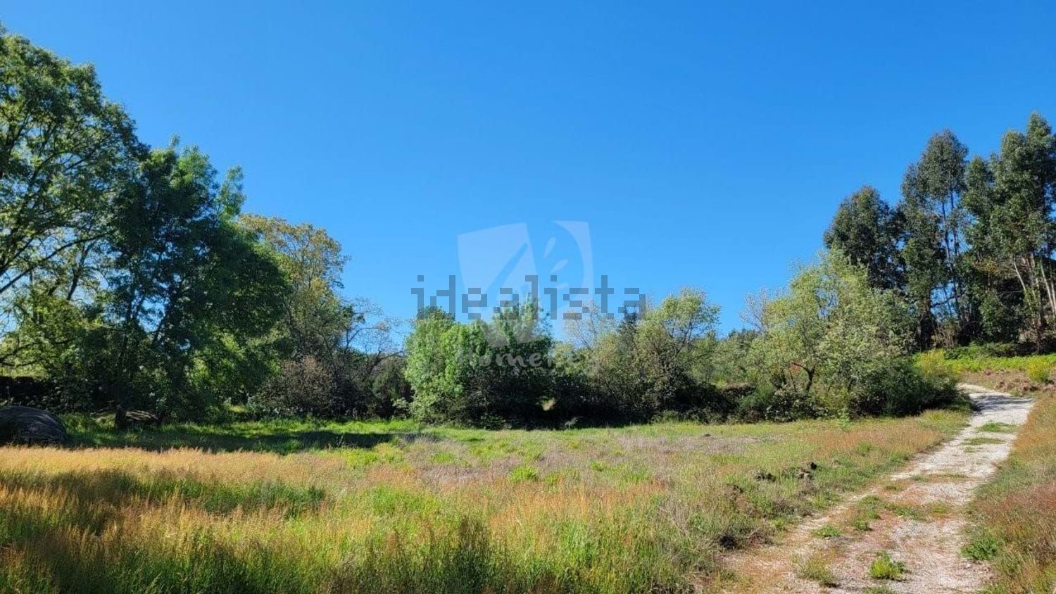 庄园出售在Aldeia do Bispo - Águas - Aldeia de João Pires - 花园