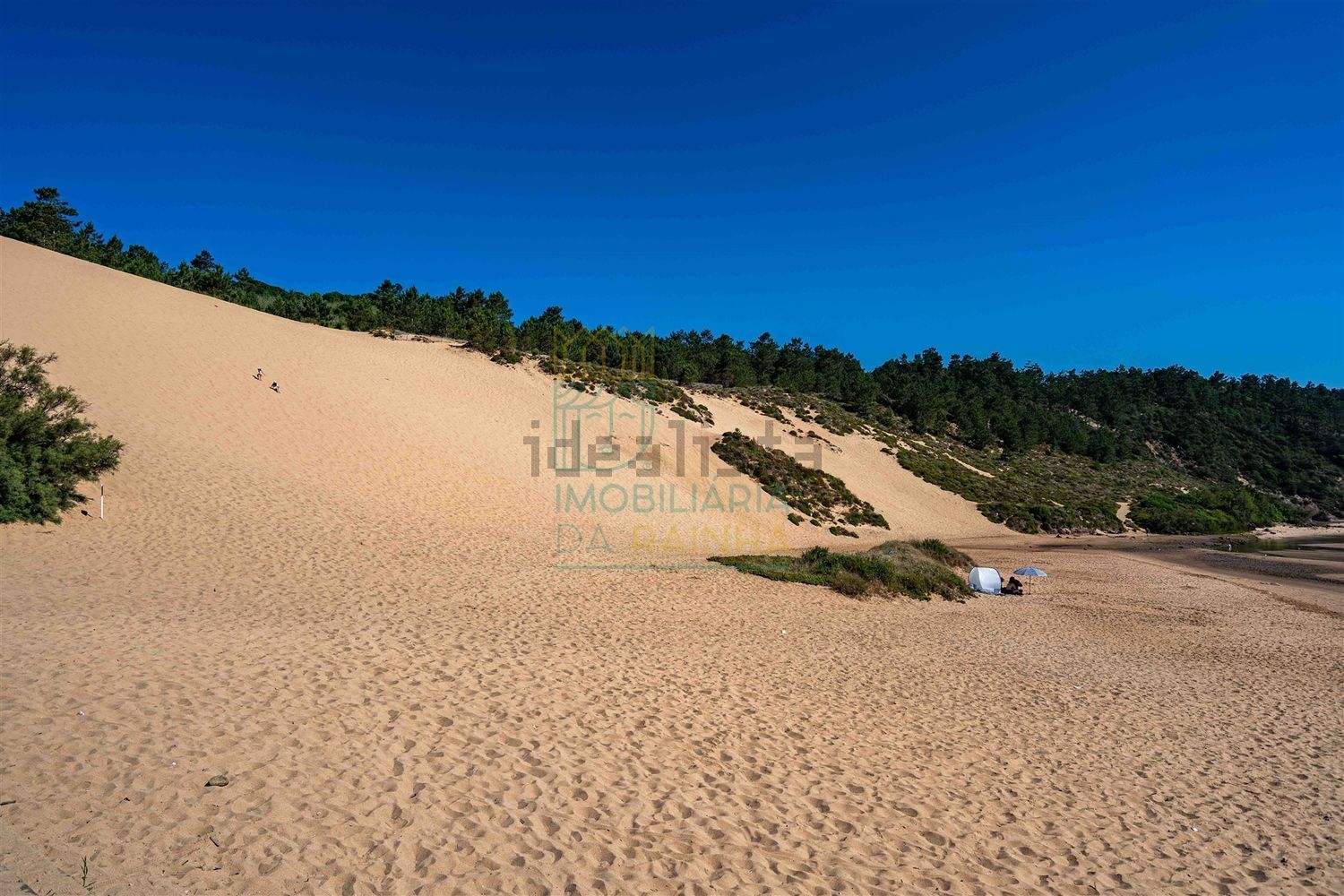 小楼房或独栋别墅出售在Nadadouro - 视线