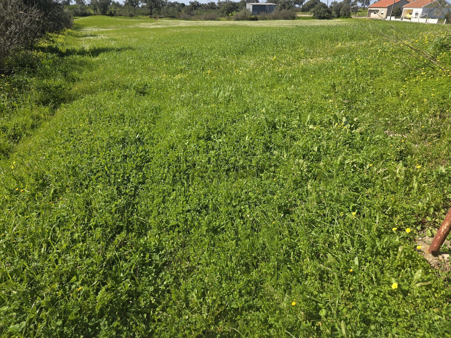 阿连特茹山出售Estalagem do Roncão s/n - 详情