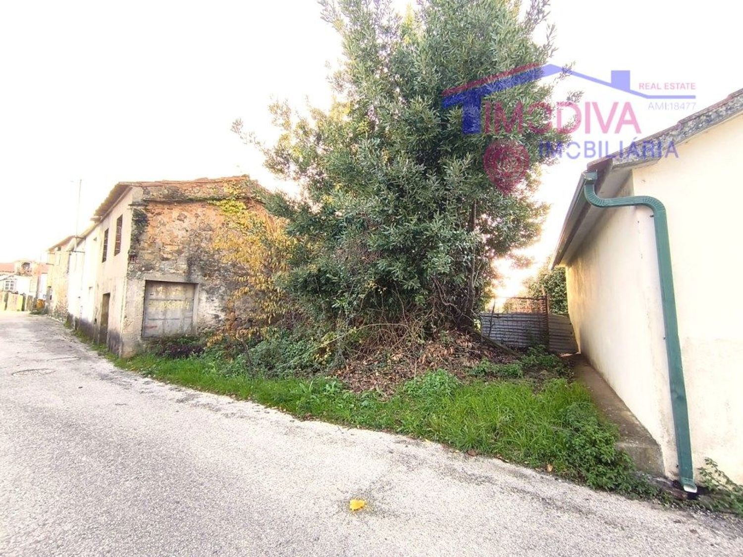 庄园出售在Pedrógão Grande - 前厅