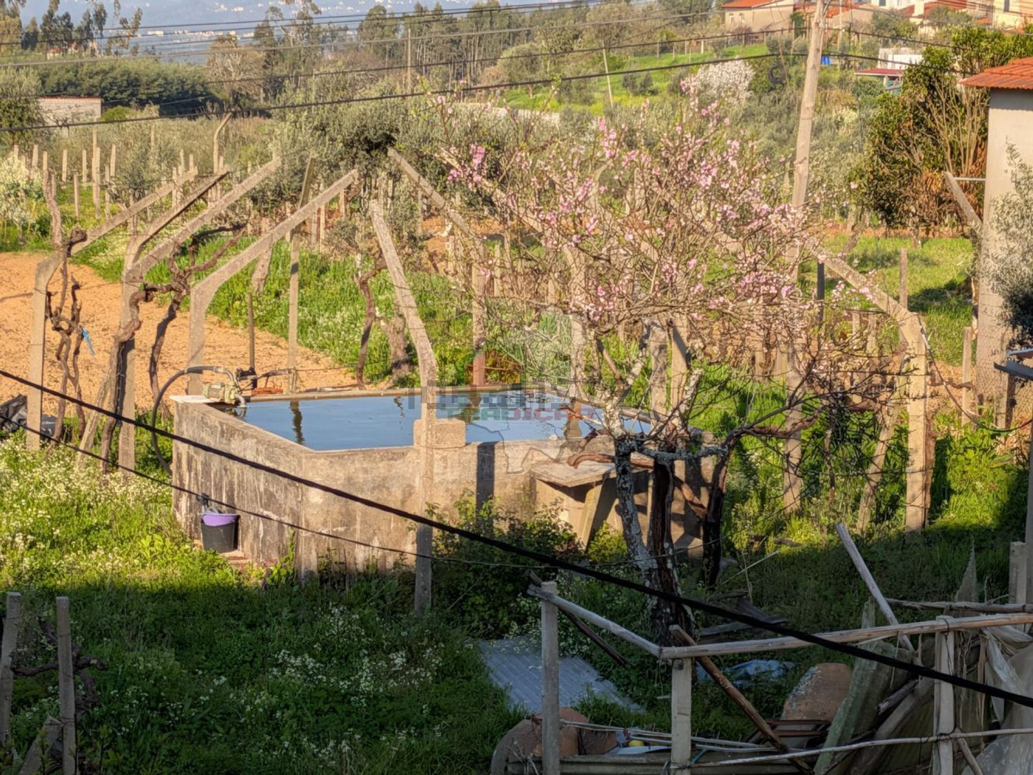 小楼房或独栋别墅出售在Cernache do Bonjardim - Nesperal - Palhais - 花园