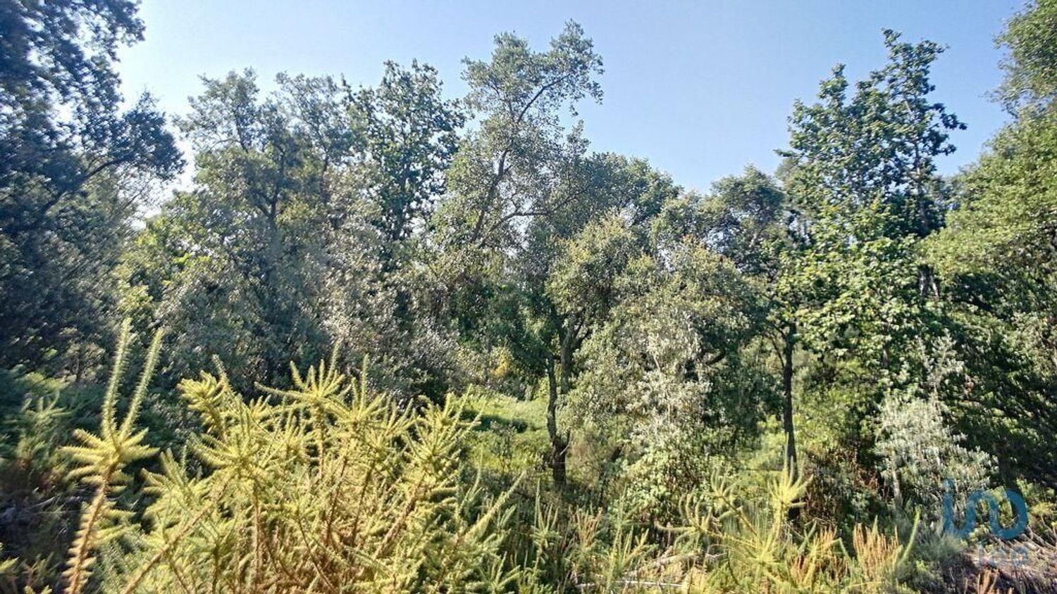 小楼房或独栋别墅出售在Pedrógão Grande - 花园