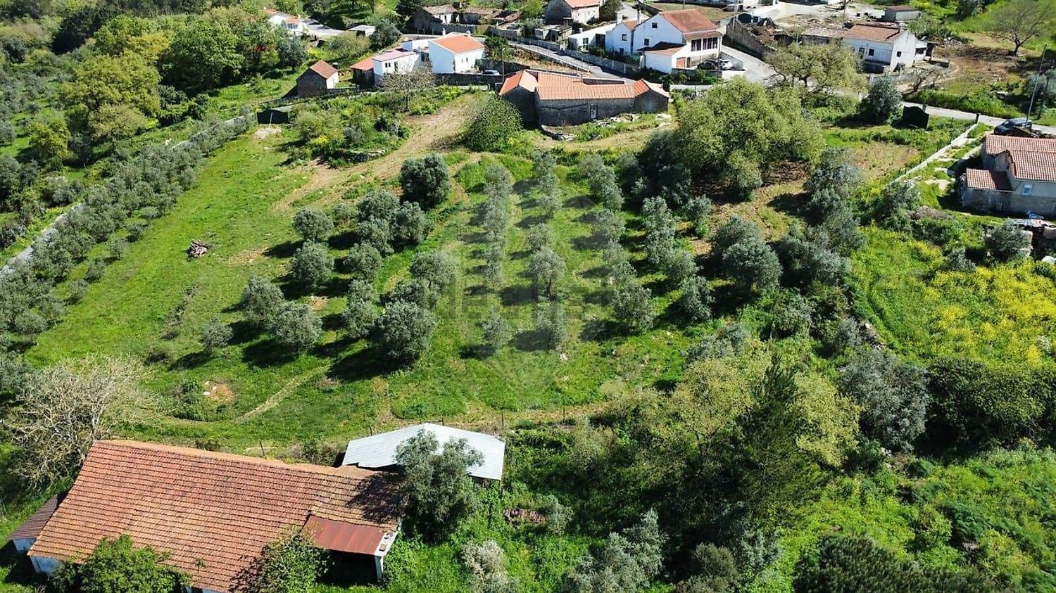 小楼房或独栋别墅出售在Évora de Alcobaça - 视线