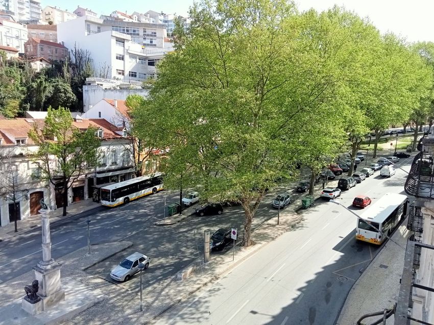 出租t0（单人公寓）在Avenida Sá da Bandeira, 8