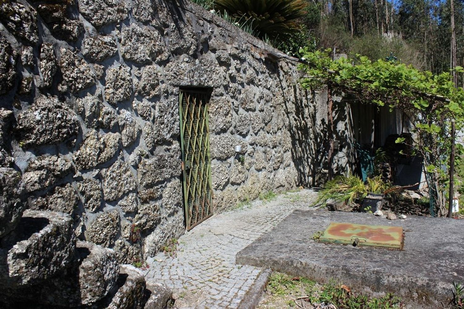 小楼房或独栋别墅出售Quinta do chão cimeiro - 花园