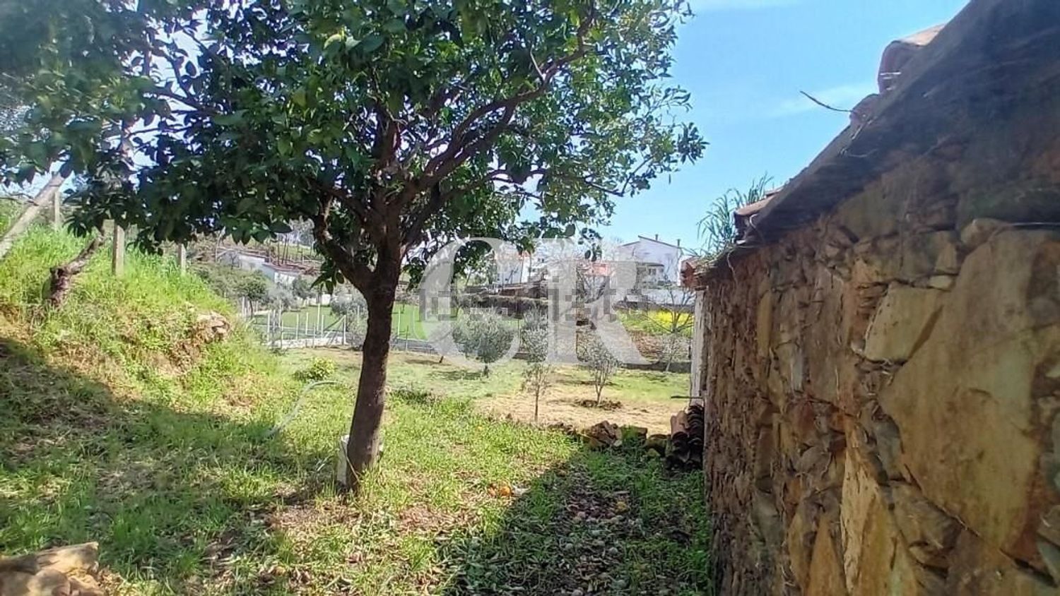 小楼房或别墅出售在Pedrógão Grande - 花园