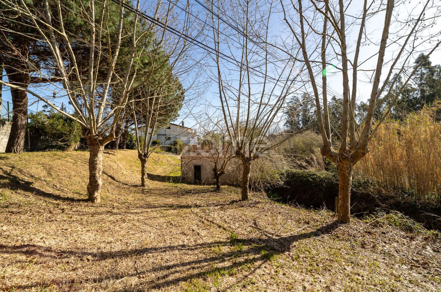 小楼房或独栋别墅出售在Rua 5 de Janeiro s/n - 花园