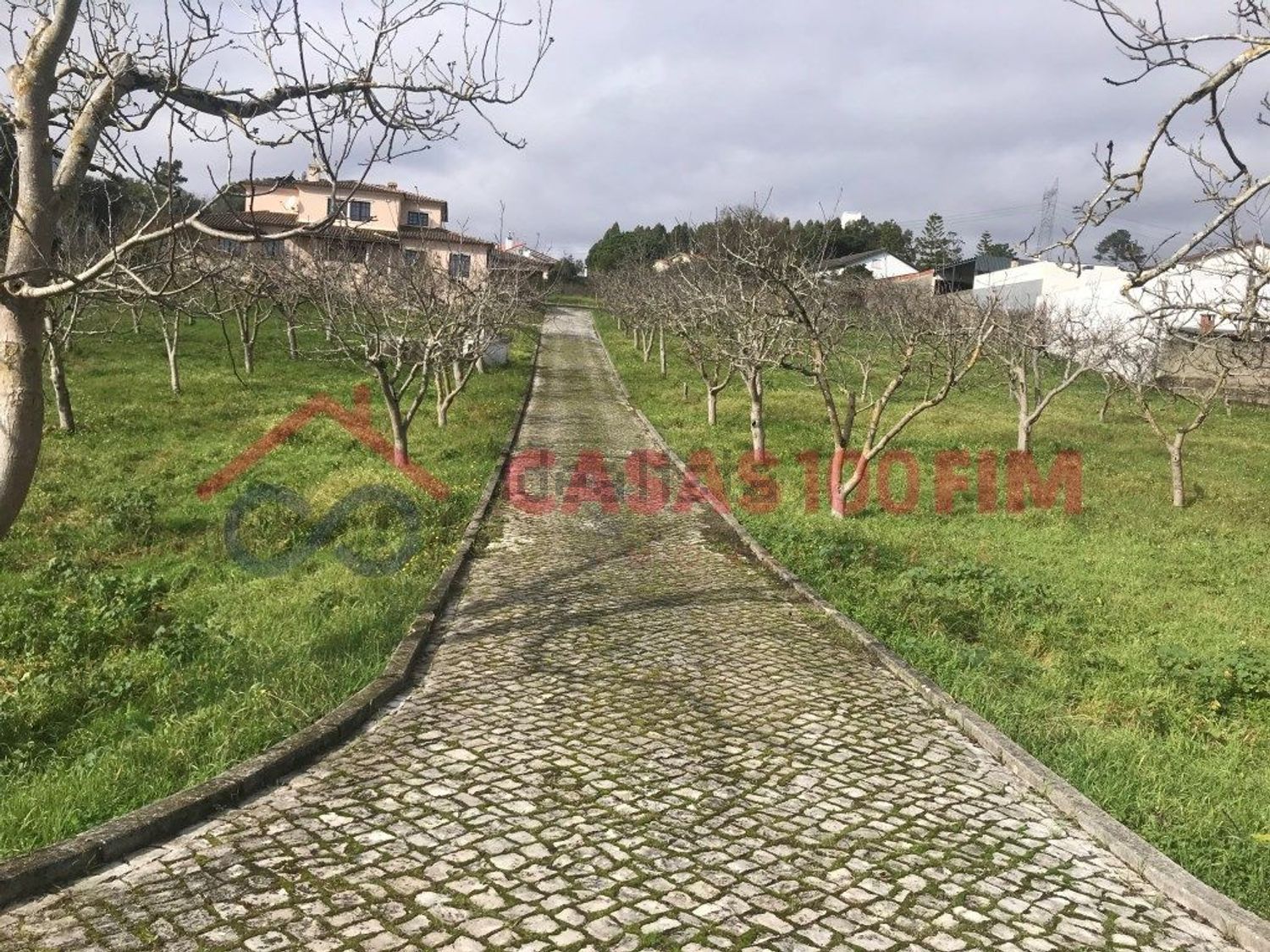 小楼房或独栋别墅出售在Rua da Fé - 花园