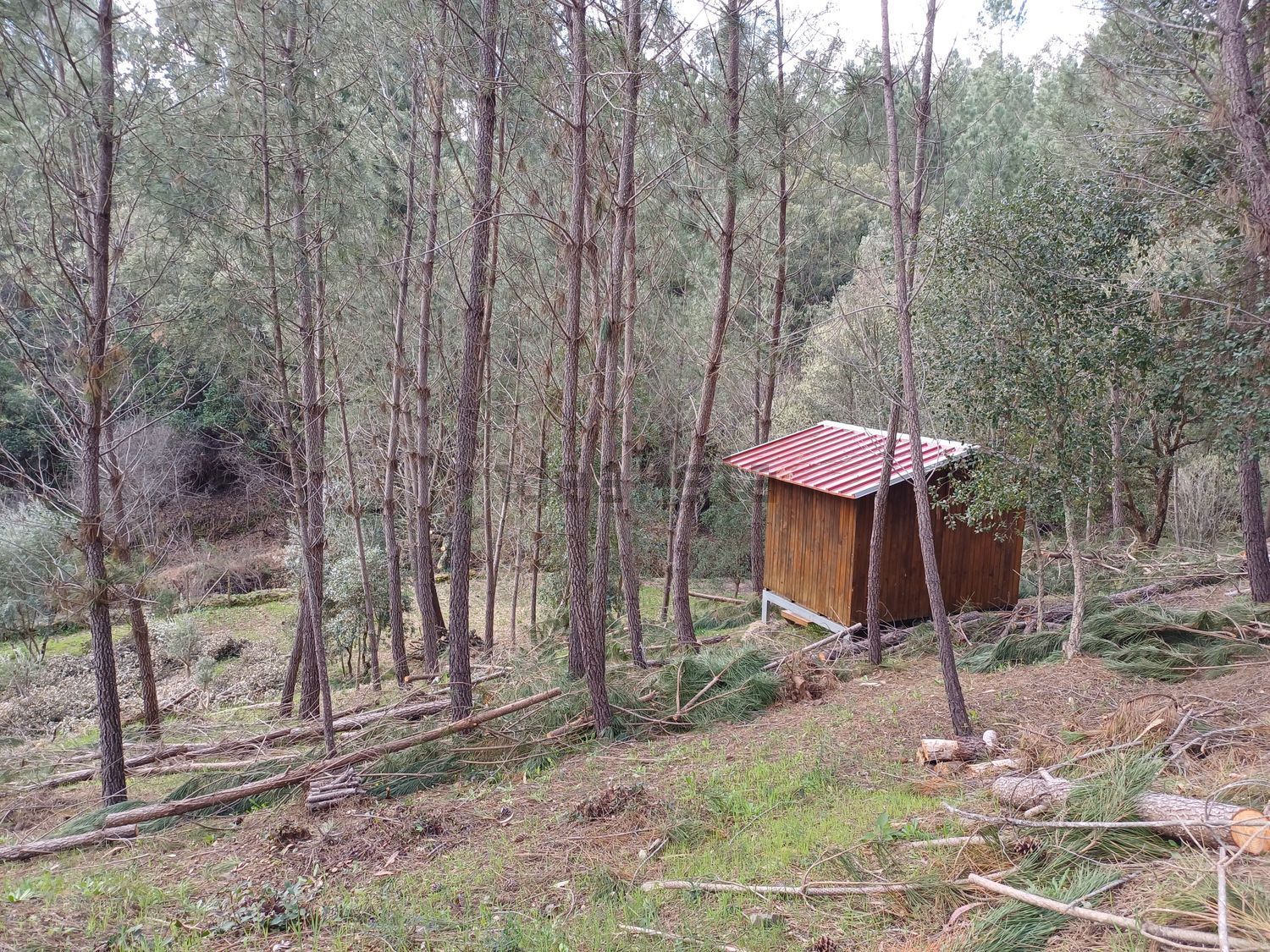 联排别墅出售在Rua da Capela, codiceira - 详情