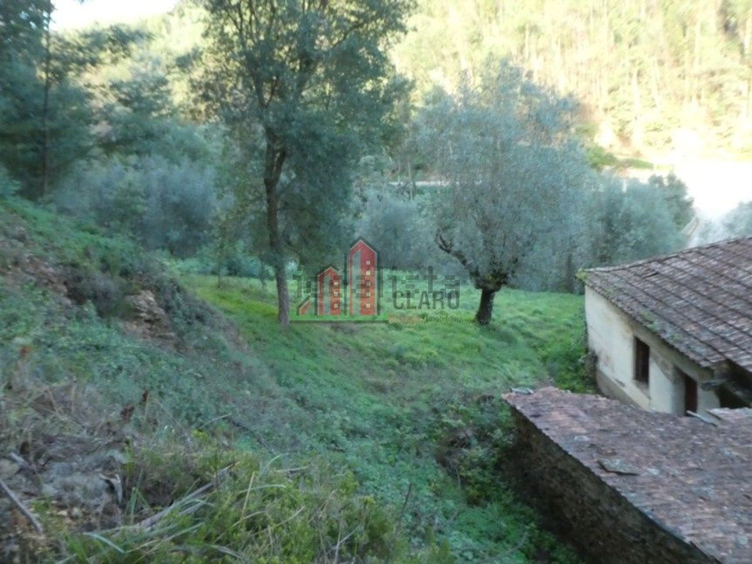 小镇楼房出售在Torres do Mondego - 花园