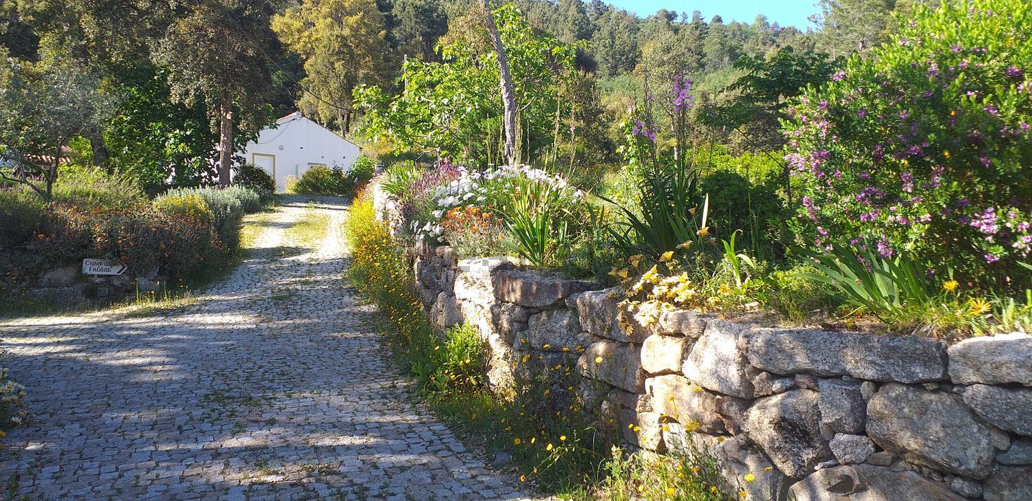 庄园出售Quinta da Barroquinha s/n - 花园