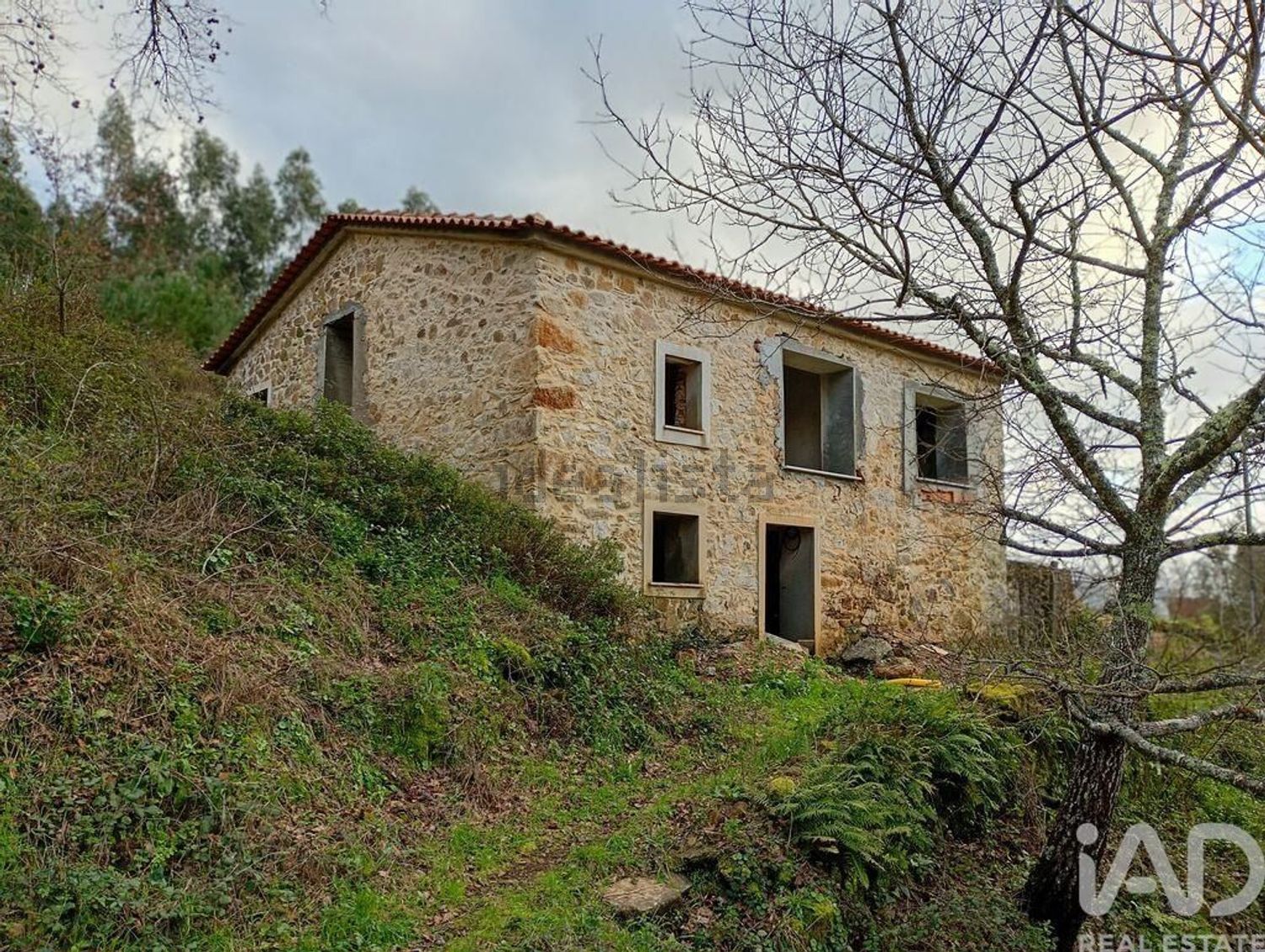 小楼房或独栋别墅出售在Figueiró dos Vinhos e Bairradas - 外立面