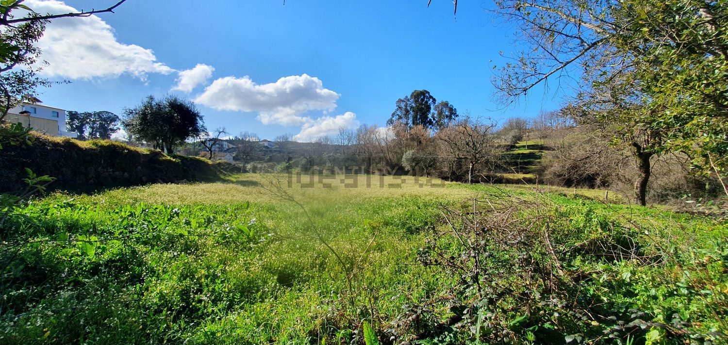 农庄出售Quinta do Pomar, 1 - 花园
