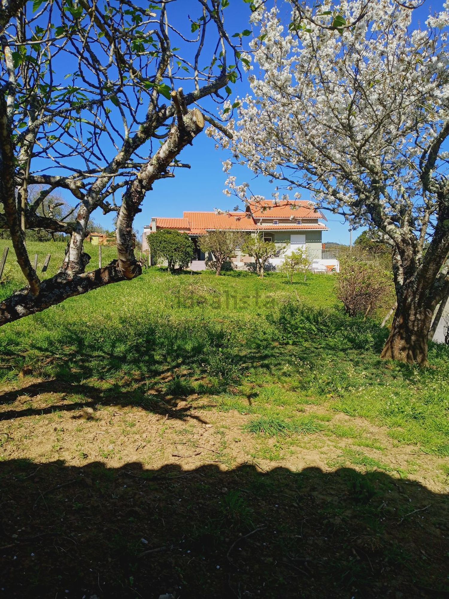 小楼房或独栋别墅出售在Figueiró dos Vinhos e Bairradas - 花园