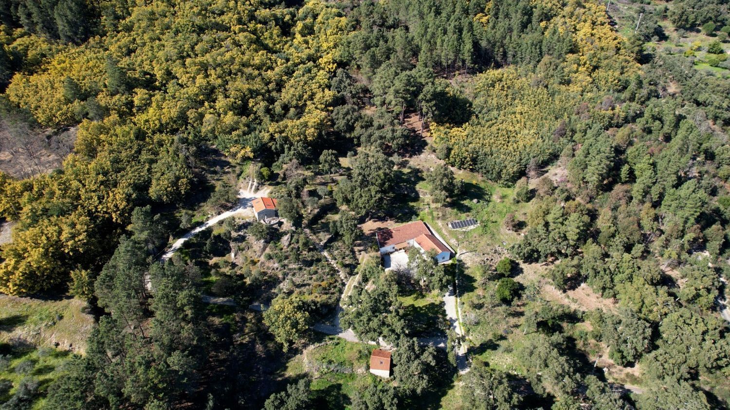 庄园出售Quinta da Barroquinha s/n - 视线