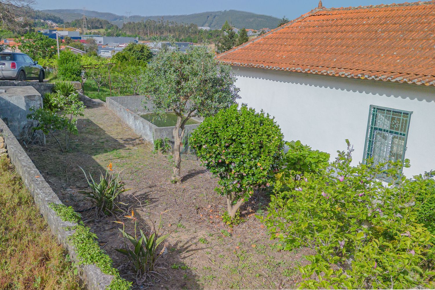 小楼房或独栋别墅出售Vale de Cambra - 照片