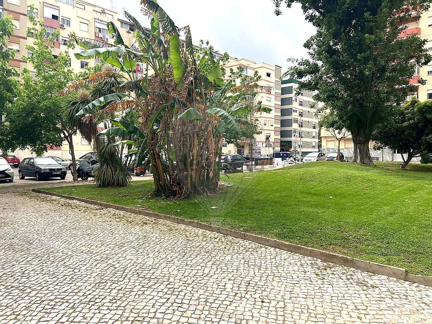 出租公寓 t1在Rua Cidade da Beira - 花园